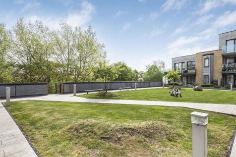 Communal Lawn Area