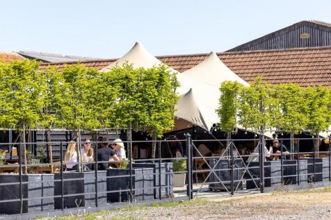 CRE_1908 edit for web.jpg