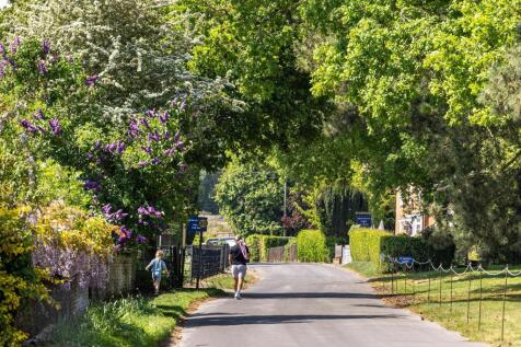 CRE_1930 edit for web.jpg