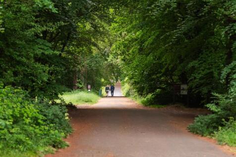 Burnham Local Area-36.jpg