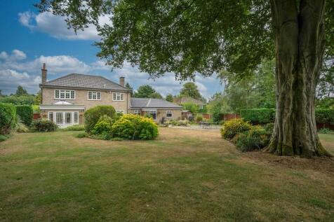 Property Image 26
