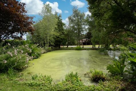 Property Image 33