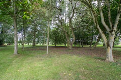 Property Image 35