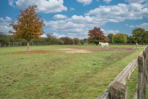 Property Image 39