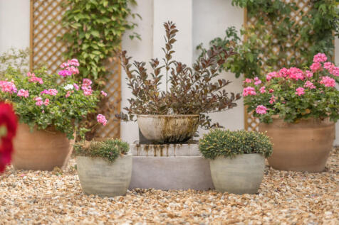 Garden Area