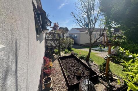 garden back.jpg