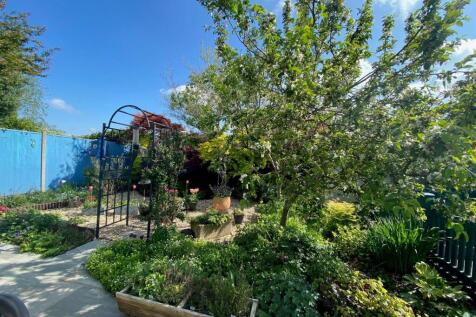 Garden.jpg