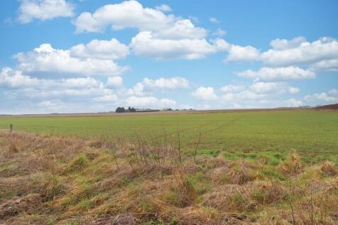 IMG_7152 (1)