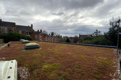 Sedum Roof
