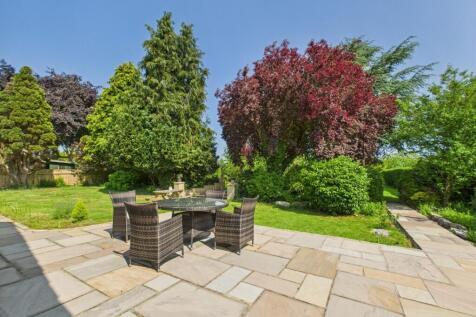 Patio Area