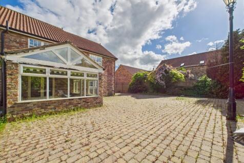 Garden/Driveway