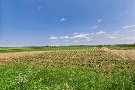 Countryside Views