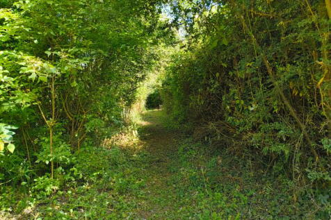 Property Image 37
