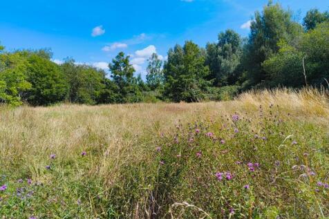 Property Image 39