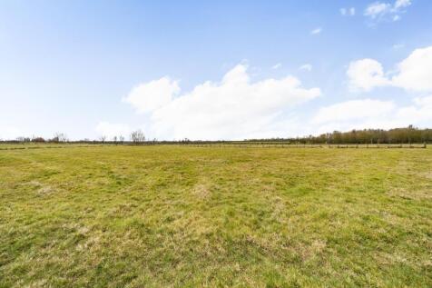 2nd PADDOCK VIEW.jpg