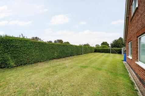 SIDE GARDEN.jpg