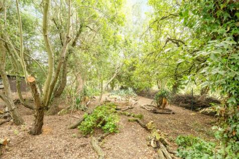 3rd view GARDEN.jpg