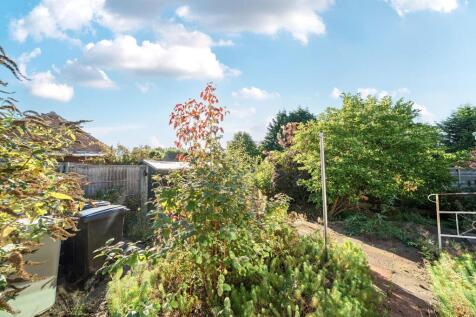 Garden 4.jpg