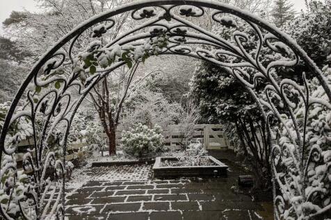 Winter Garden