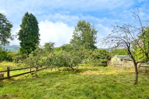 Top of garden