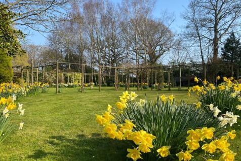 Property Image 29