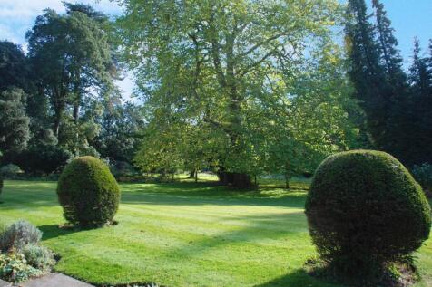 Property Image 11