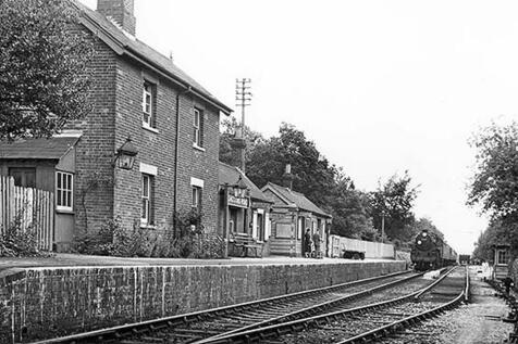 Back garden in about 1957