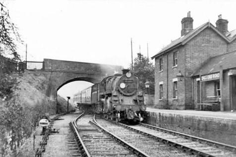 Back garden in about 1954