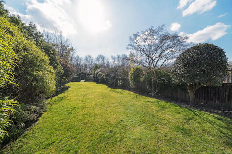 garden4