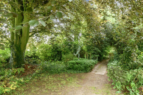 Woodland Garden