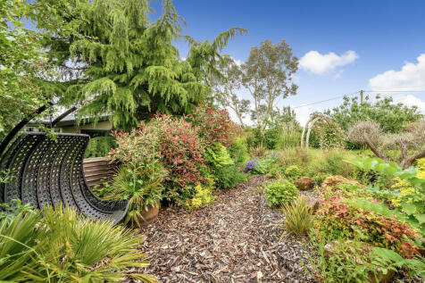 Garden 1