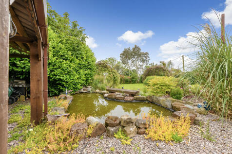 Ornamental Pond