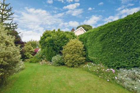 Garden 4