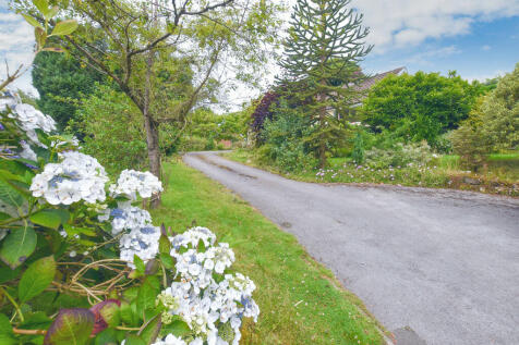 Driveway 1