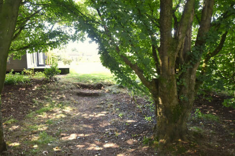 Woodland 1