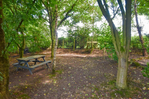 Woodland 2