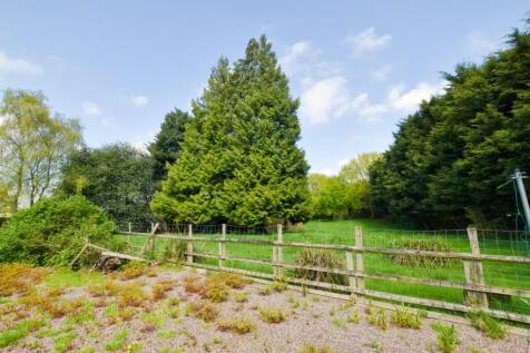 Rear Paddock