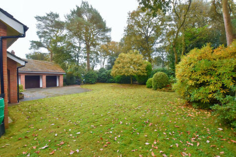 Front Garden 1