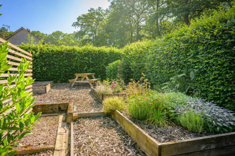 Garden2