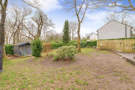 Rear Garden 2