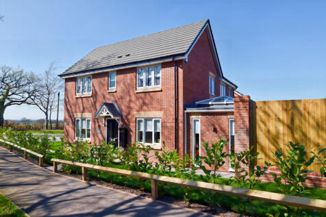 Front Aspect 2