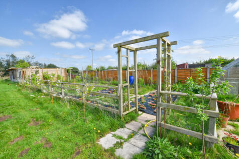 Vegetable Garden
