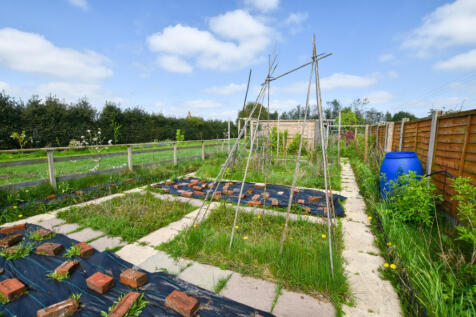 Vegetable Garden ...