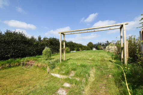 Rear Garden 5