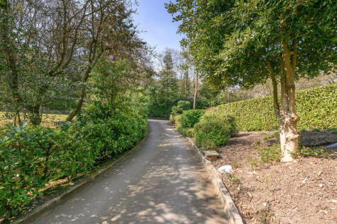 Driveway 2