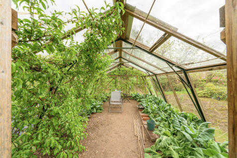Greenhouse