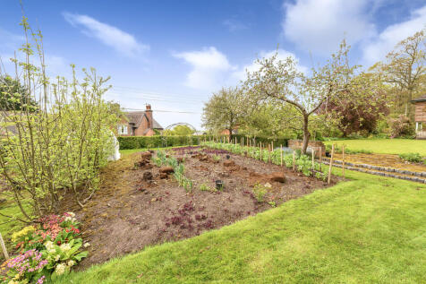 Garden 3