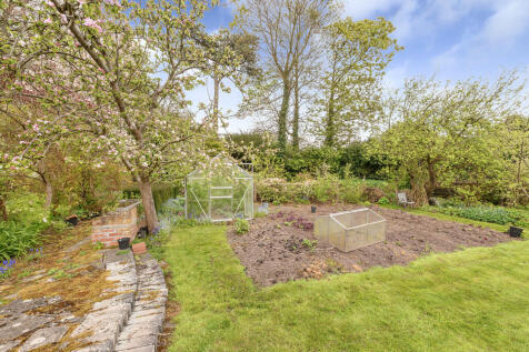 Garden 5