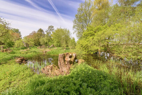 Pond 2