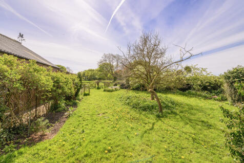 Garden 1